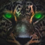 Desiigner – Jaguar