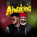 Somval – Aiwa King
