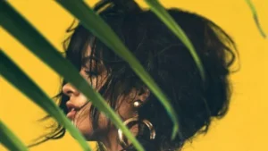 Camila Cabello – OMG ft. Quavo