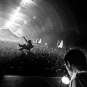 Fred again.. ft. Wallfacer – I Luv U