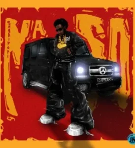 Shallipopi – Na So