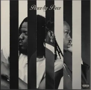 Fireboy DML & Pheelz – Shake
