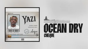 Cheque - Ocean Dry