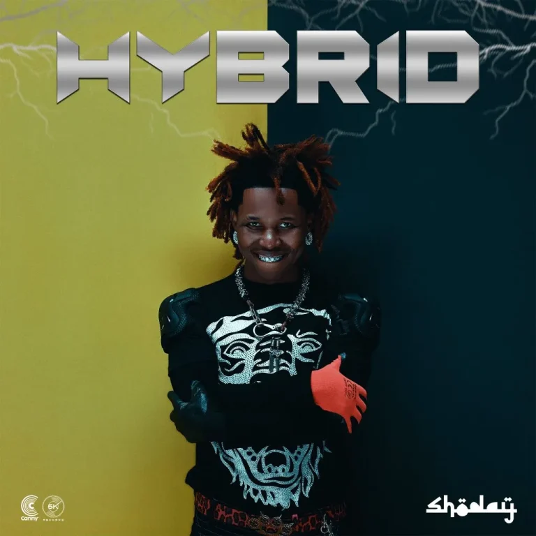 Shoday – Hybrid Album