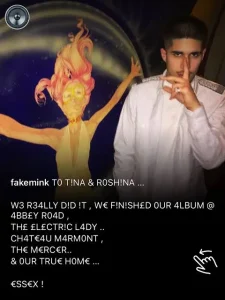 fakemink - terrified album