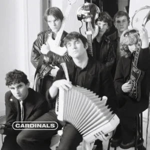 Cardinals – Amphetamines