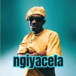 Shaunmusiq – ngik cela (ft. Leemckrazy x Bassie)