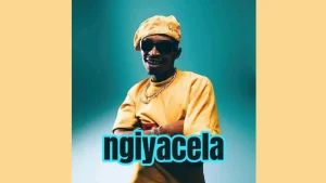 Shaunmusiq - ngik cela (ft. Leemckrazy x Bassie)