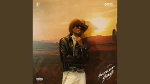 Dxtiny, Shoday, Blaqbonez - Arizona