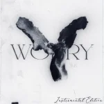 LONOWN, riserayss – worry (Instrumental Slowed)