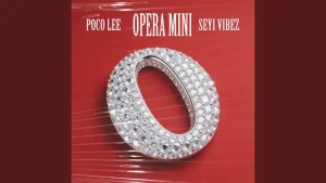 Poco Lee, Seyi Vibez - OPERA MINI