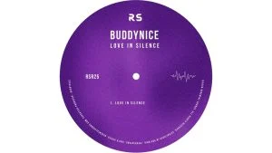 Buddynice Love In Silence