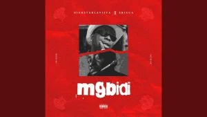 Highstarlavista Erigga Mgbidi