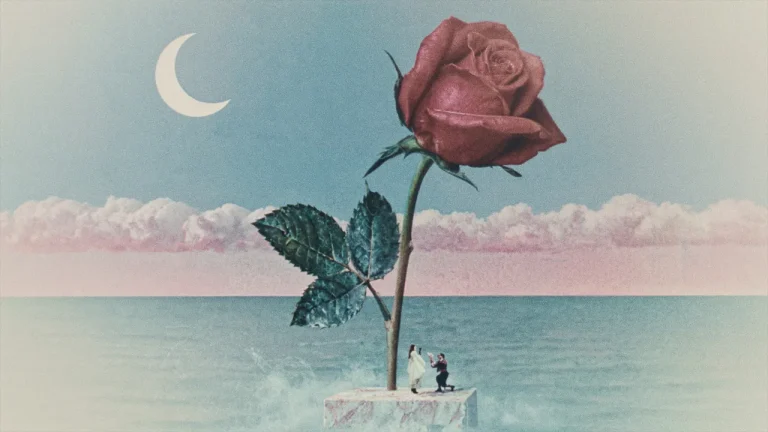 Des Fleurs Tove Lo Ft Stromae