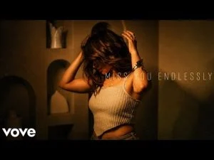 Ision Miss You Endlessly Official Song