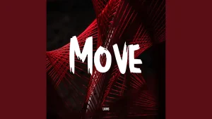 Lkins Move