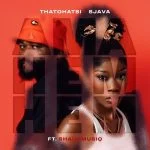 Thatohatsi X Sjava Ama Hem Hem Ft Shaunmusiq