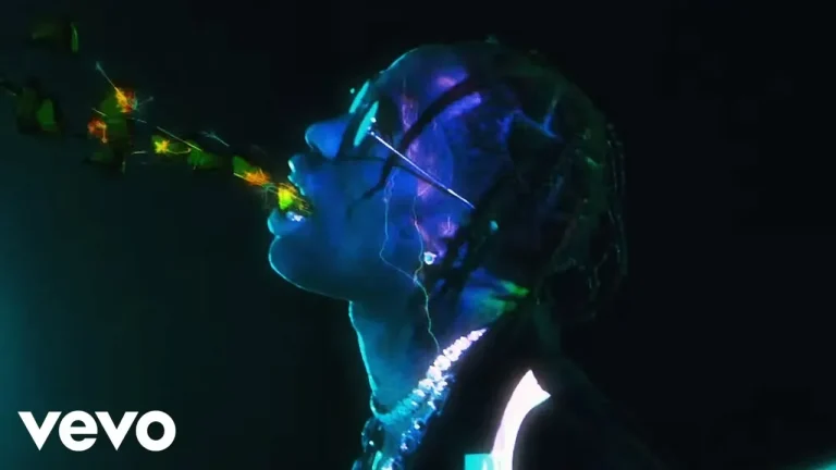 Travis Scott Butterfly Effect